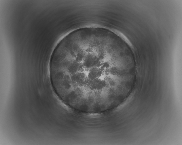 X0000110950839200906191249
