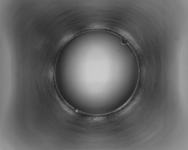 X0000110950841200906191249