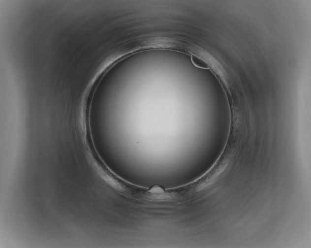 X0000110950843200906191249
