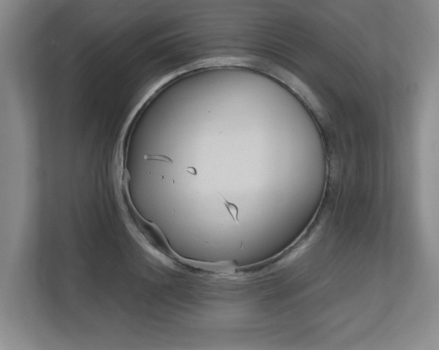 X0000110950844200906191249