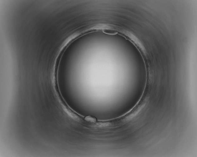 X0000110950845200906191249