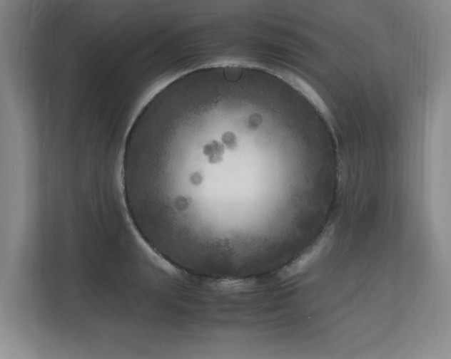 X0000110950847200906191249