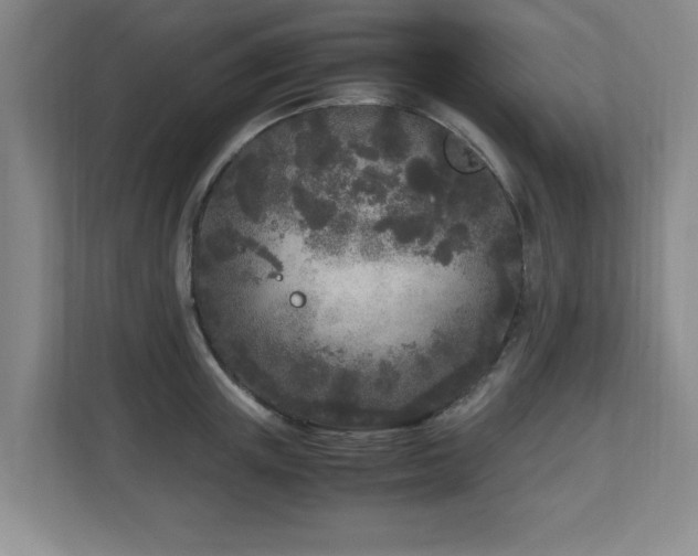 X0000110950851200906191249