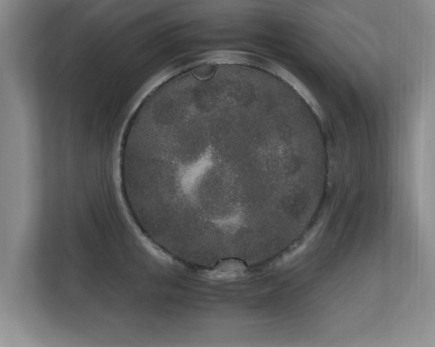 X0000110950853200906191249
