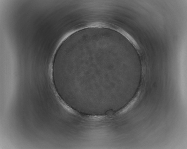 X0000110950854200906191249