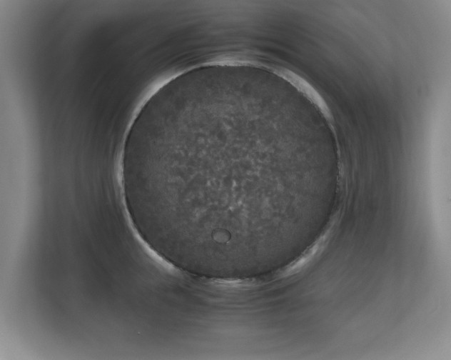 X0000110950855200906191249