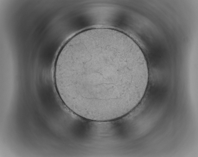 X0000110950856200906191249