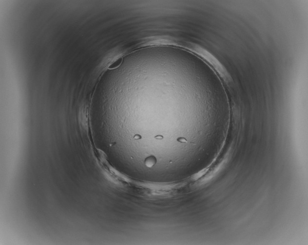 X0000110950857200906191249