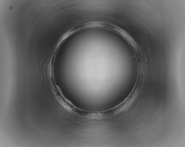 X0000110950858200906191249