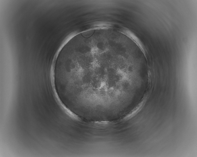 X0000110950859200906191249