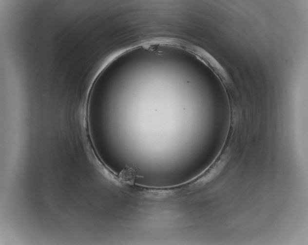 X0000110950860200906191249