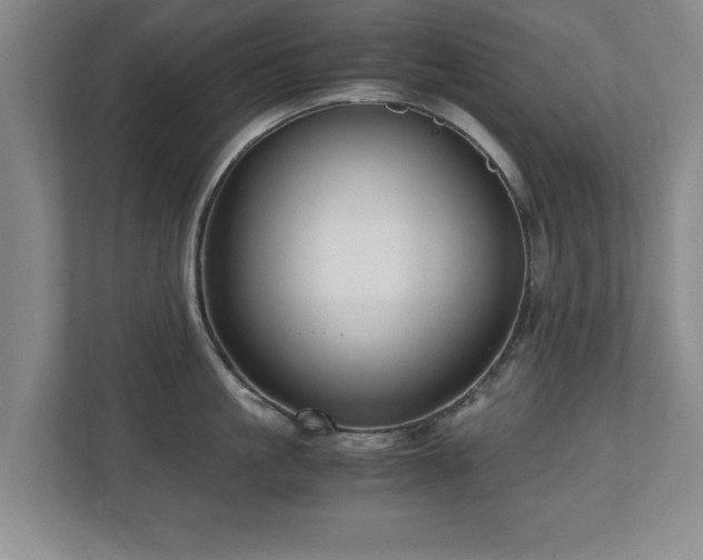 X0000110950861200906191249