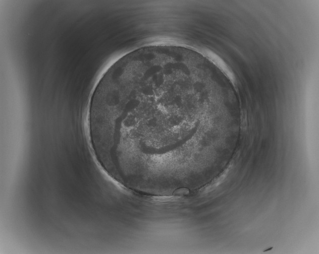X0000110950863200906191249