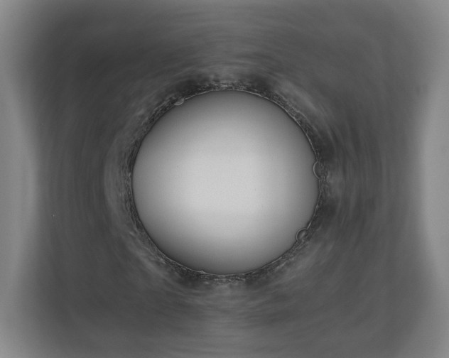 X0000110950865200906191249