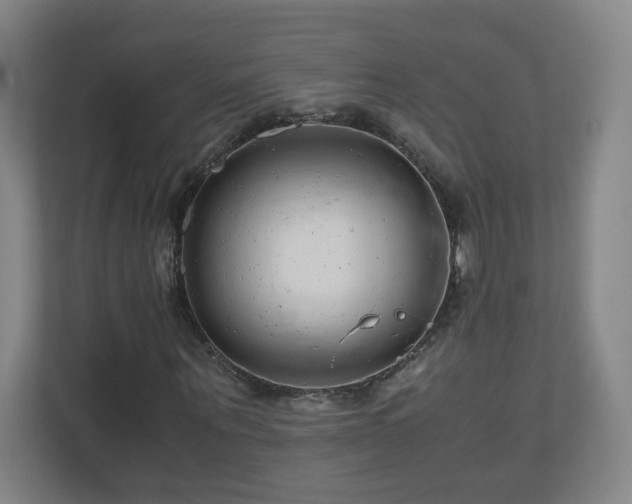 X0000110950867200906191249
