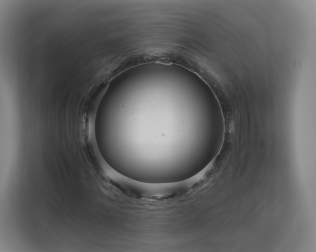 X0000110950868200906191249