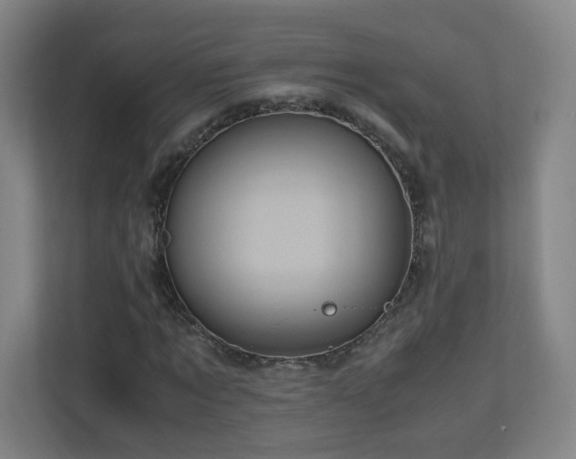 X0000110950869200906191248