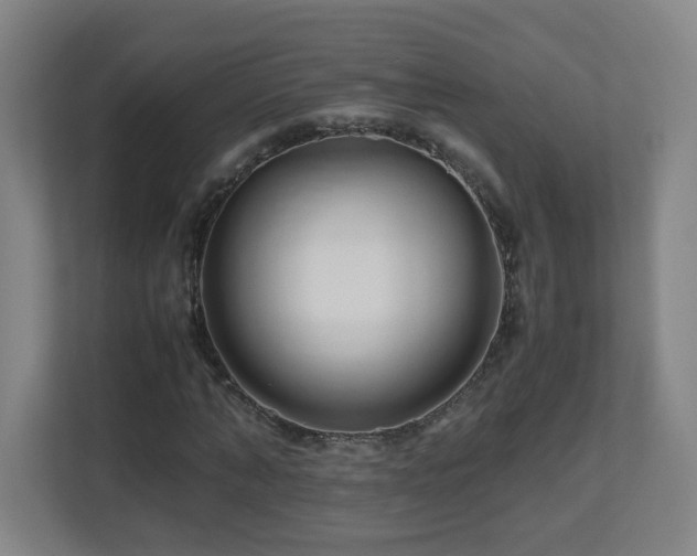 X0000110950870200906191248