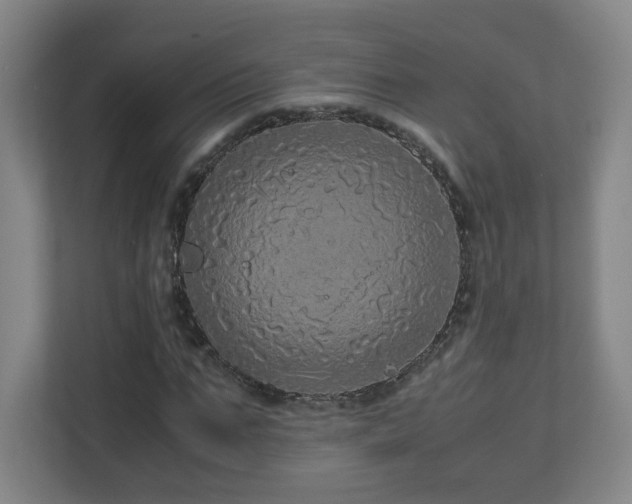 X0000110950871200906191248