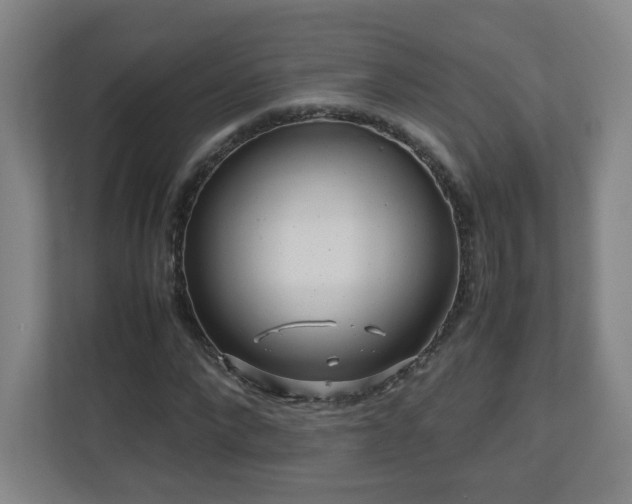 X0000110950872200906191248