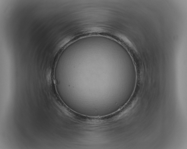 X0000110950873200906191248
