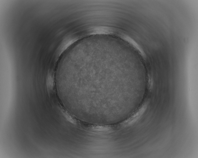 X0000110950874200906191248