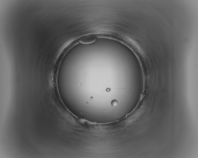 X0000110950875200906191248
