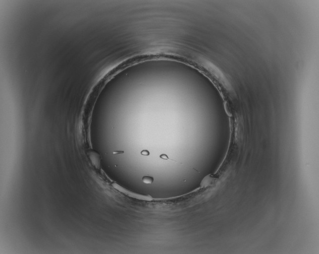 X0000110950876200906191248
