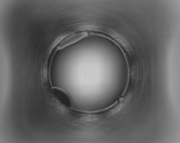 X0000110950877200906191248