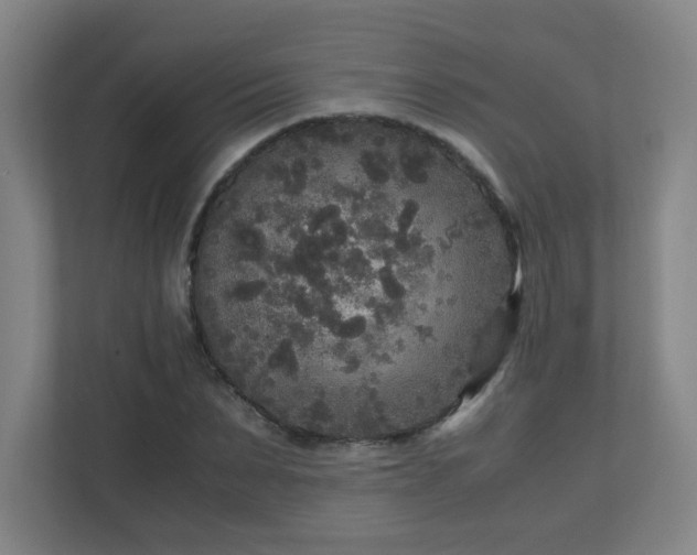 X0000110950879200906191248