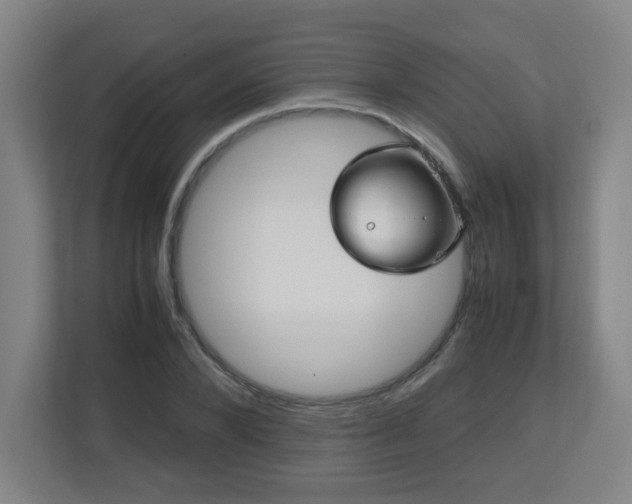 X0000110950880200906191248