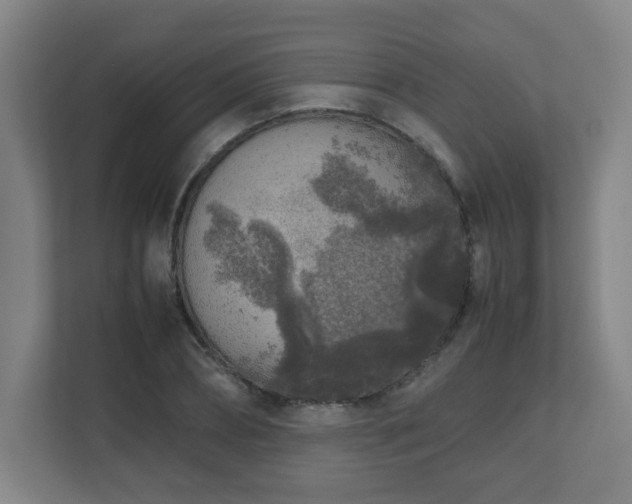 X0000110950882200906191248
