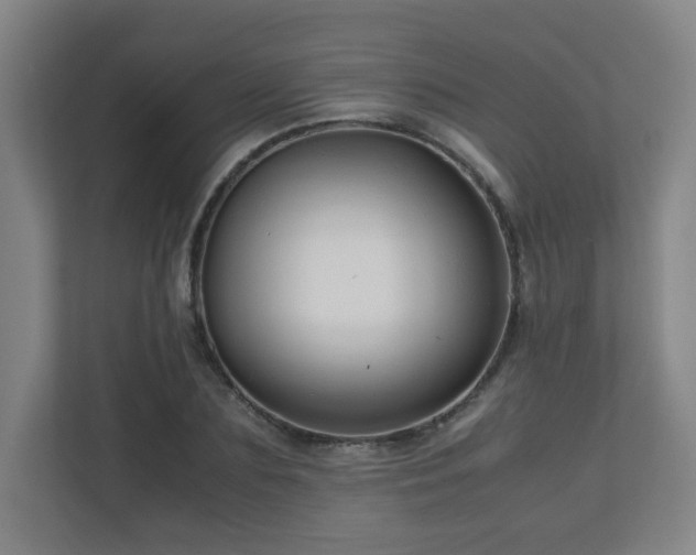 X0000110950883200906191248