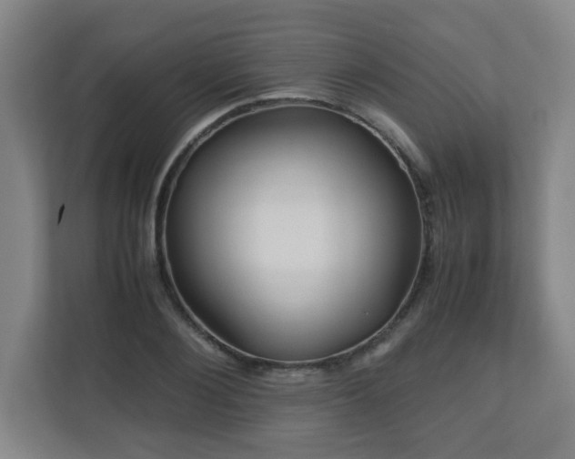 X0000110950884200906191248