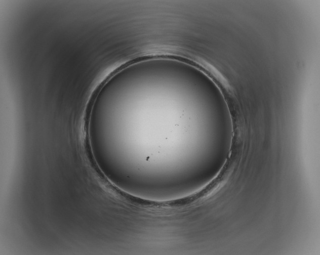 X0000110950885200906191248