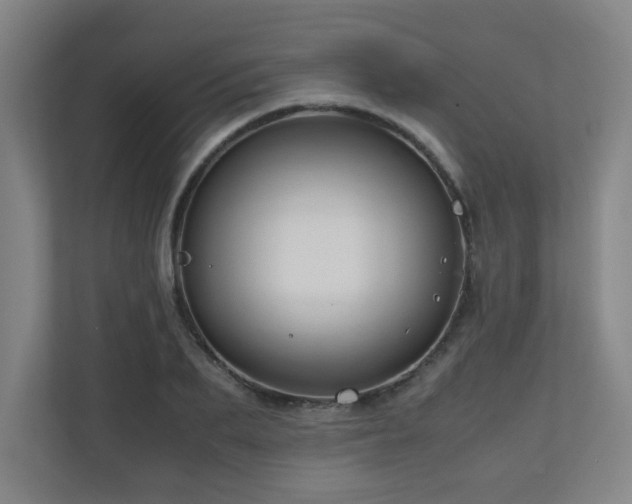 X0000110950887200906191248