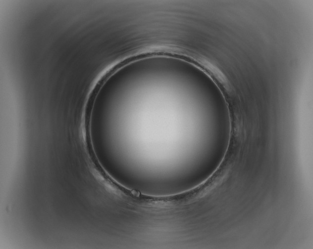X0000110950888200906191248