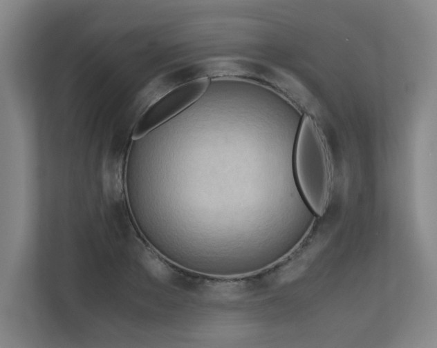 X0000110950889200906191248