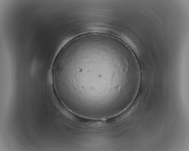 X0000110950891200906191248