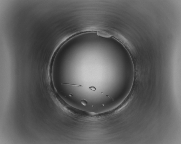 X0000110950892200906191248