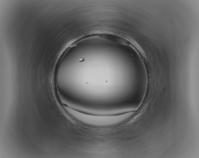 X0000110950893200906191248