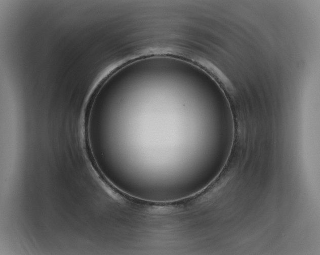 X0000110950894200906191248