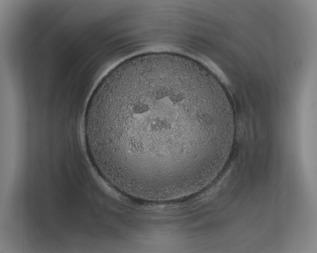 X0000110950895200906191248