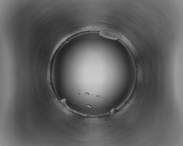 X0000110950896200906191248