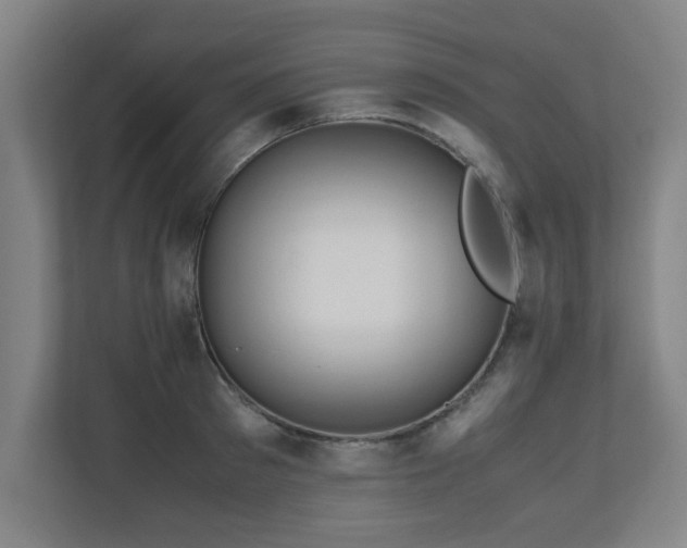 X0000110950897200906191248