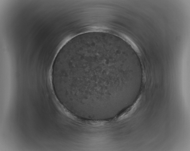 X0000110950899200906191248