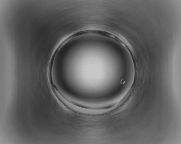 X0000110950901200906191248