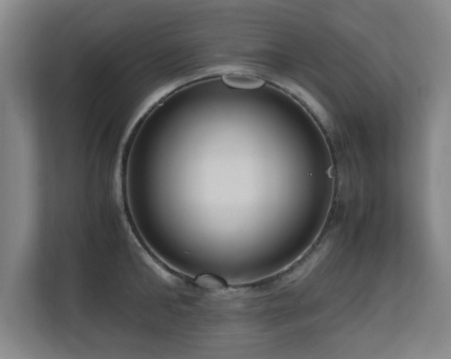 X0000110950902200906191248