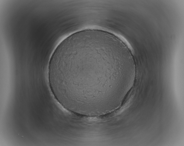 X0000110950903200906191248