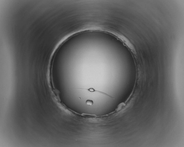 X0000110950904200906191248